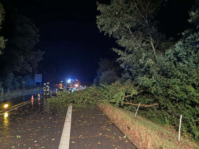 💨🌳 🚒 Einsatz „Baum auf Fahrbahn“ - durch Alarmplanänderung mit der @feuerwehr_richen - in der Nacht von Donnerstag auf Freitag

Einsatzbericht auf ffsemd.de
